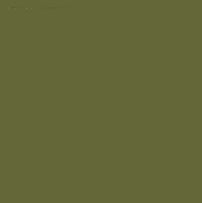 CARAN D'ACHE NEOCOLOR I WAX CRAYON 249 OLIVE