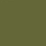 Caran D'Ache Neocolor I Wax Crayon 249 Olive