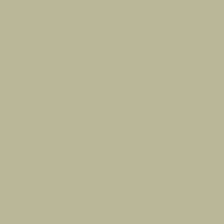 CARAN D'ACHE NEOCOLOR I WAX CRAYON 401 METALLIC ASH GREY