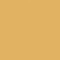 CARAN D'ACHE NEOCOLOR I WAX CRAYON 899 METALLIC DARK GOLD
