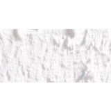 Caran D'Ache Neopastel Oil Pastel 001 White