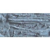 Caran D'Ache Neopastel Oil Pastel 005 Grey