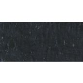 Caran D'Ache Neopastel Oil Pastel 009 Black