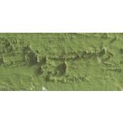 Caran D'Ache Neopastel Oil Pastel 016 Khaki Green