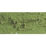 Caran D'Ache Neopastel Oil Pastel 016 Khaki Green