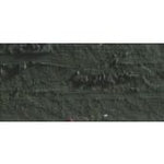 CARAN D'ACHE NEOPASTEL OIL PASTEL 019 OLIVE BLACK