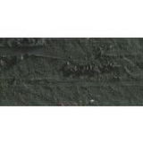 Caran D'Ache Neopastel Oil Pastel 019 Olive Black