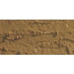 Caran D'Ache Neopastel Oil Pastel 037 Brown Ochre