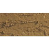 Caran D'Ache Neopastel Oil Pastel 037 Brown Ochre