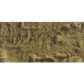 Caran D'Ache Neopastel Oil Pastel 039 Olive Brown