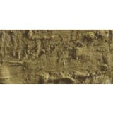 Caran D'Ache Neopastel Oil Pastel 039 Olive Brown