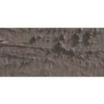 CARAN D'ACHE NEOPASTEL OIL PASTEL 045 VANDYKE BROWN