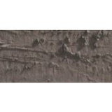 Caran D'Ache Neopastel Oil Pastel 045 Vandyke Brown