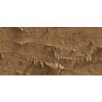 Caran D'Ache Neopastel Oil Pastel 047 Bistre