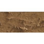 Caran D'Ache Neopastel Oil Pastel 047 Bistre