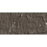 Caran D'Ache Neopastel Oil Pastel 049 Raw Umber