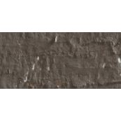 Caran D'Ache Neopastel Oil Pastel 049 Raw Umber