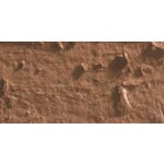 CARAN D'ACHE NEOPASTEL OIL PASTEL 055 CINNAMON