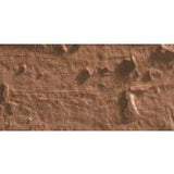 Caran D'Ache Neopastel Oil Pastel 055 Cinnamon