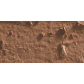 Caran D'Ache Neopastel Oil Pastel 055 Cinnamon