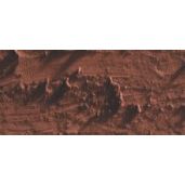 Caran D'Ache Neopastel Oil Pastel 057 Chestnut