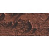 Caran D'Ache Neopastel Oil Pastel 057 Chestnut