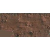 Caran D'Ache Neopastel Oil Pastel 059 Brown