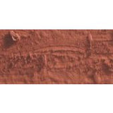 Caran D'Ache Neopastel Oil Pastel 063 English Red