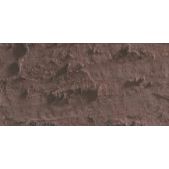 Caran D'Ache Neopastel Oil Pastel 067 Mahogany