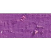 CARAN D'ACHE NEOPASTEL OIL PASTEL 111 MAUVE