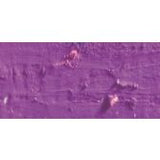 Caran D'Ache Neopastel Oil Pastel 111 Mauve