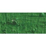 Caran D'Ache Neopastel Oil Pastel 225 Moss Green