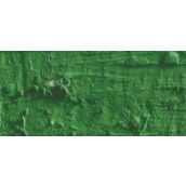 Caran D'Ache Neopastel Oil Pastel 225 Moss Green