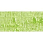 Caran D'Ache Neopastel Oil Pastel 231 Lime Green