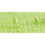 Caran D'Ache Neopastel Oil Pastel 231 Lime Green