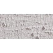 Caran D'Ache Neopastel Oil Pastel 402 Light Beige