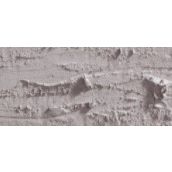 CARAN D'ACHE NEOPASTEL OIL PASTEL 403 BEIGE