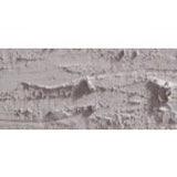 Caran D'Ache Neopastel Oil Pastel 403 Beige