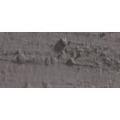 Caran D'Ache Neopastel Oil Pastel 405 Cocoa