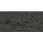 Caran D'Ache Neopastel Oil Pastel 407 Sepia