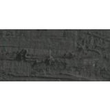 Caran D'Ache Neopastel Oil Pastel 407 Sepia