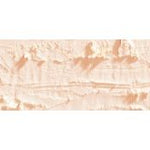 Caran D'Ache Neopastel Oil Pastel 491 Cream