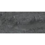 Caran D'Ache Neopastel Oil Pastel 495 Slate Grey