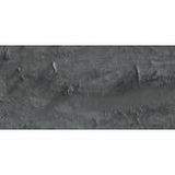 Caran D'Ache Neopastel Oil Pastel 495 Slate Grey