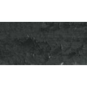 Caran D'Ache Neopastel Oil Pastel 496 Ivory Black