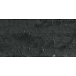 Caran D'Ache Neopastel Oil Pastel 496 Ivory Black