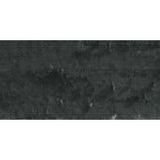 Caran D'Ache Neopastel Oil Pastel 496 Ivory Black