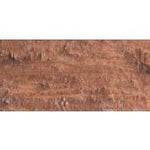 Caran D'Ache Neopastel Oil Pastel 497 Bronze