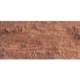 Caran D'Ache Neopastel Oil Pastel 497 Bronze