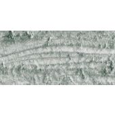 Caran D'Ache Neopastel Oil Pastel 498 Silver